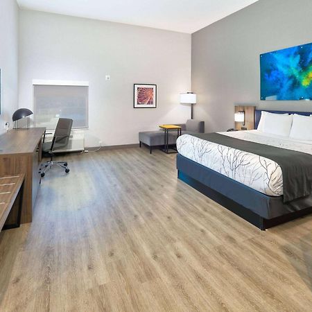 La Quinta Inn & Suites By Wyndham Dallas/Fairpark Dış mekan fotoğraf