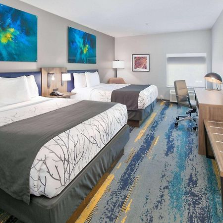 La Quinta Inn & Suites By Wyndham Dallas/Fairpark Dış mekan fotoğraf