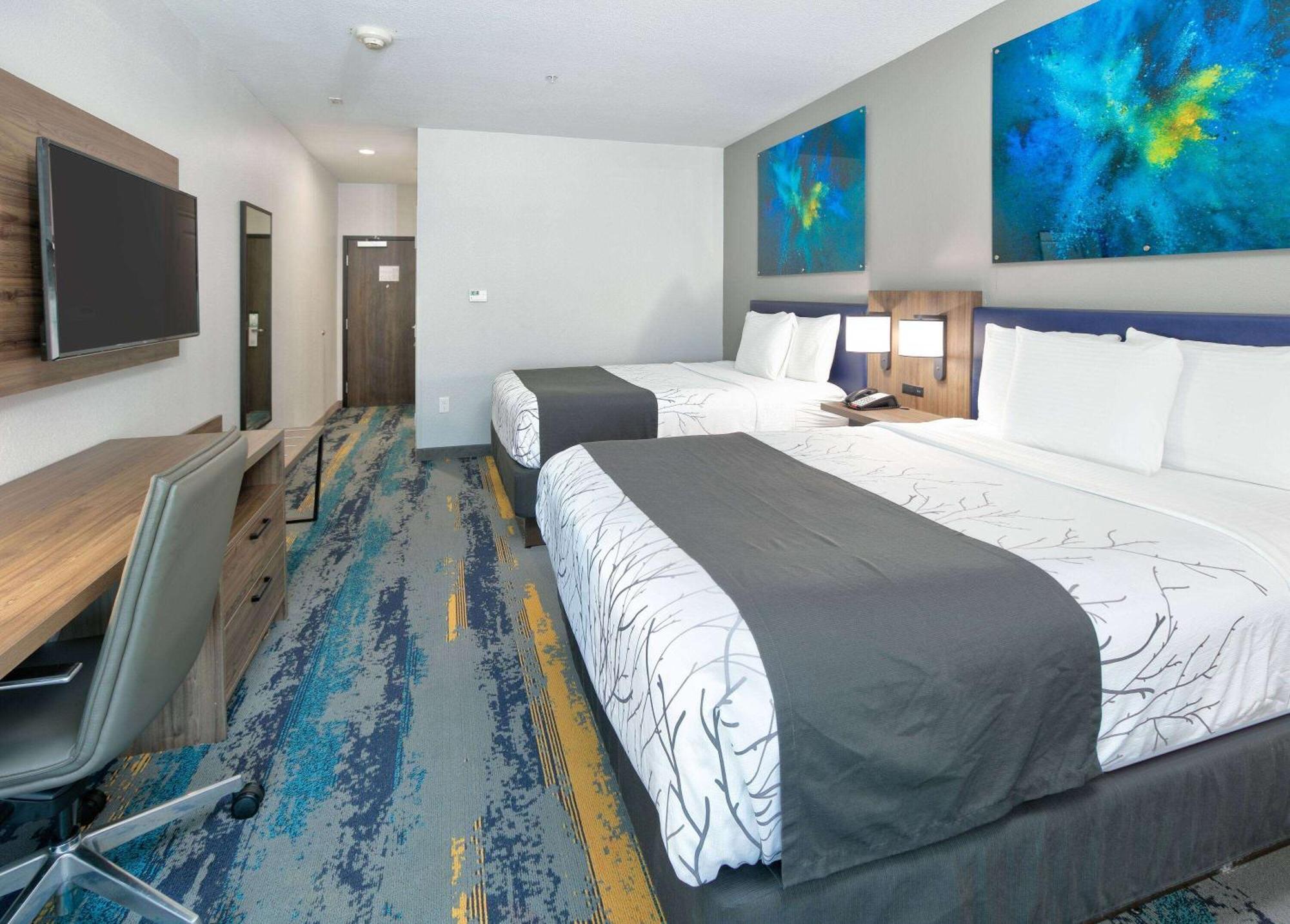 La Quinta Inn & Suites By Wyndham Dallas/Fairpark Dış mekan fotoğraf